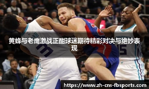 黄蜂与老鹰激战正酣球迷期待精彩对决与绝妙表现